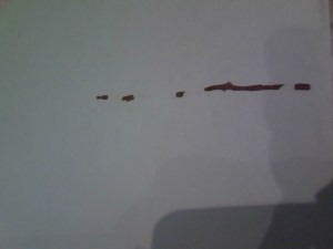 Éste es el aspecto de las gomas elásticas secas